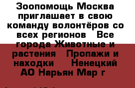 Зоопомощь.Москва приглашает в свою команду волонтёров со всех регионов - Все города Животные и растения » Пропажи и находки   . Ненецкий АО,Нарьян-Мар г.